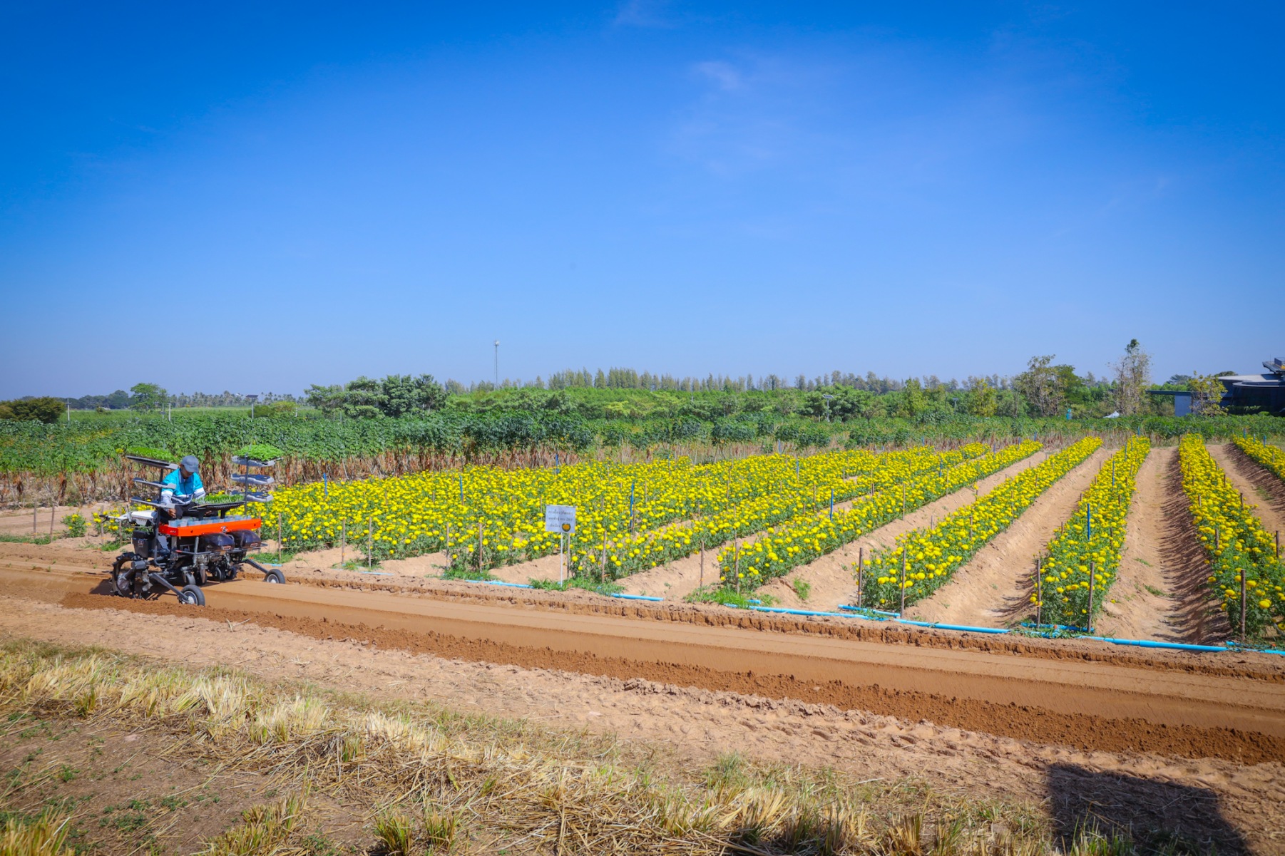 งาน KUBOTA FARM Agtech Possibility (6)