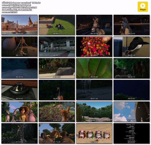 1.Madagascar--2005.mkv.jpg