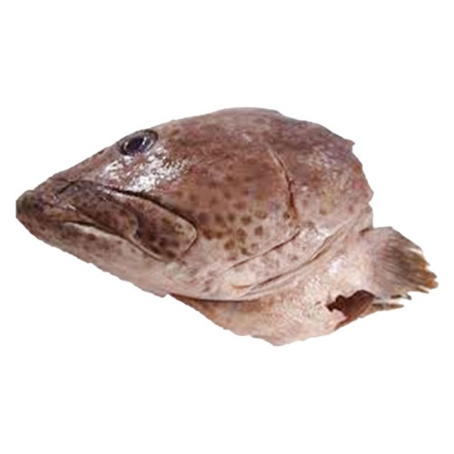 101422_1.jpg