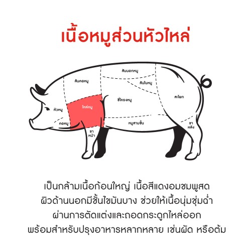 145976_TH_03.jpg