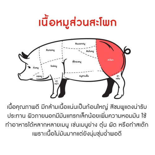 146738_TH_03.jpg