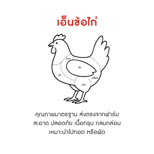 151969_TH_03.jpg