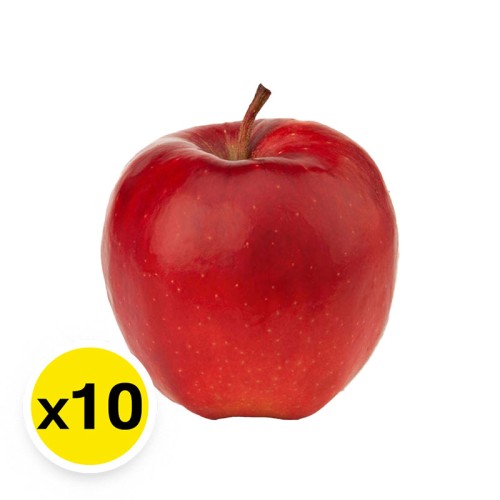153846_1.jpg