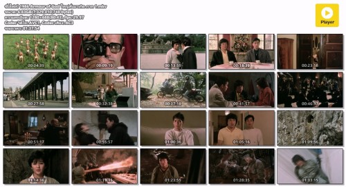 1986-Armour-of-God---1.mkv.jpg