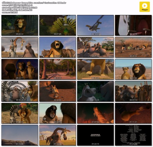 2.Madagascar-Escape-Africa---2008.mkv.jpg