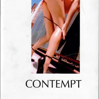 2010-Contempt