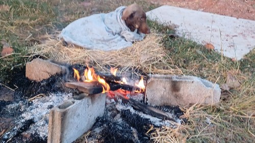 20250112_065526_resize.jpg