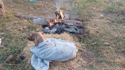 20250112_065700_resize.jpg