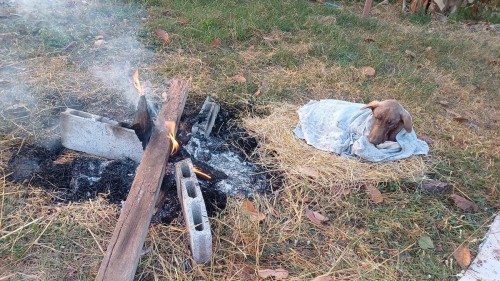 20250112_065747_resize.jpg