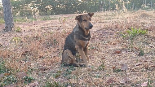 20250112_070107_resize.jpg