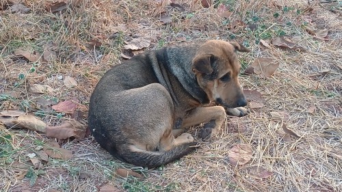 20250112_070138_resize.jpg