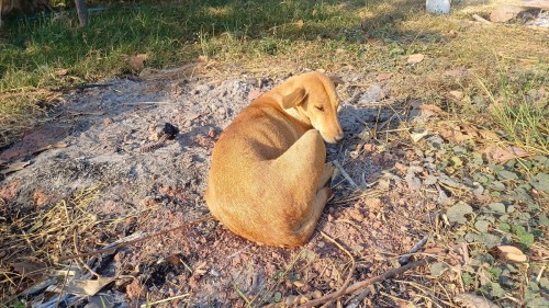 20250112_081703_resize.jpg