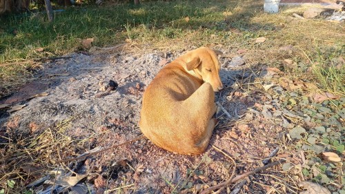20250112_081704_resize.jpg