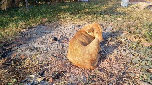 20250112_0817050_resize.jpg