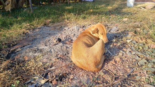 20250112_081706_resize.jpg
