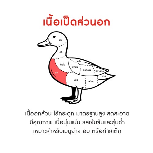 204467_TH_03.jpg