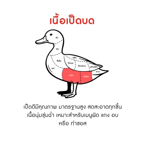 204488_TH_03.jpg