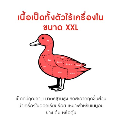 230489_TH_03.jpg