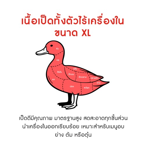 230543_TH_03.jpg