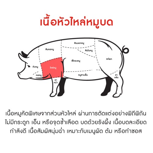 233747_TH_03.jpg