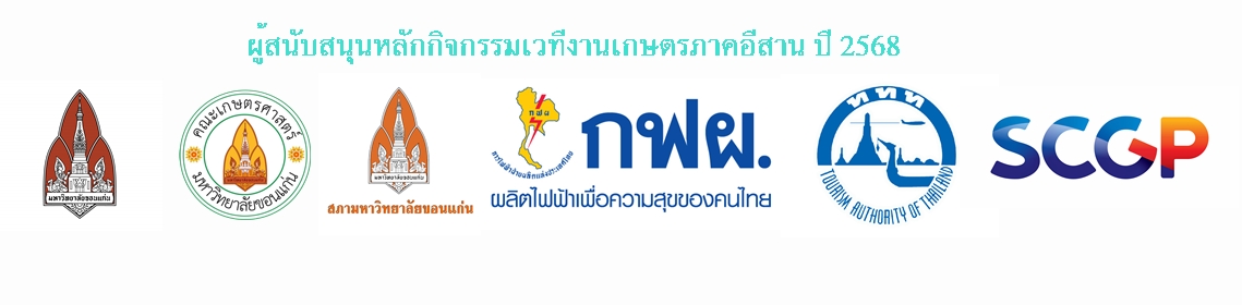 ปกผู้สับสนุน2