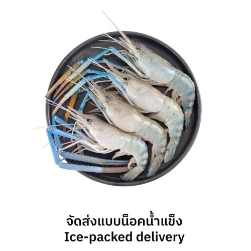 29146_1284c810a64940146.jpg