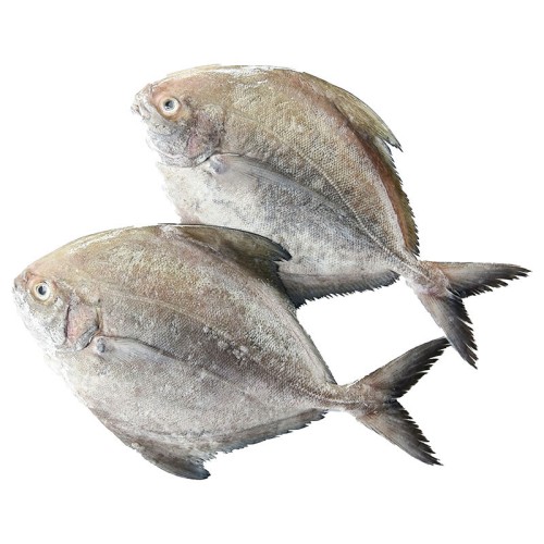 39000_1.jpg