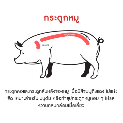 78442_TH_03.jpg