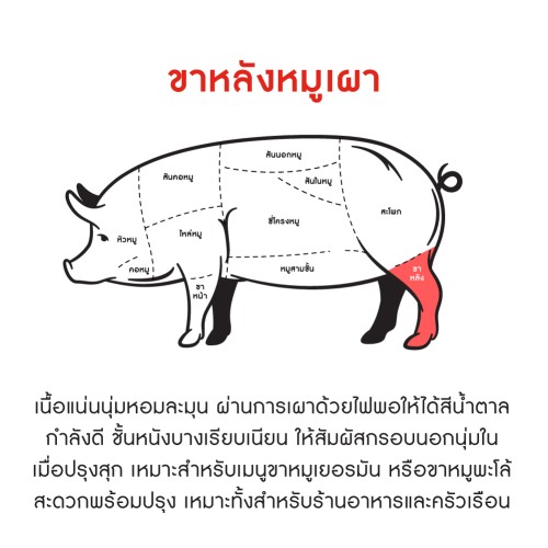 810101_TH_03.jpg