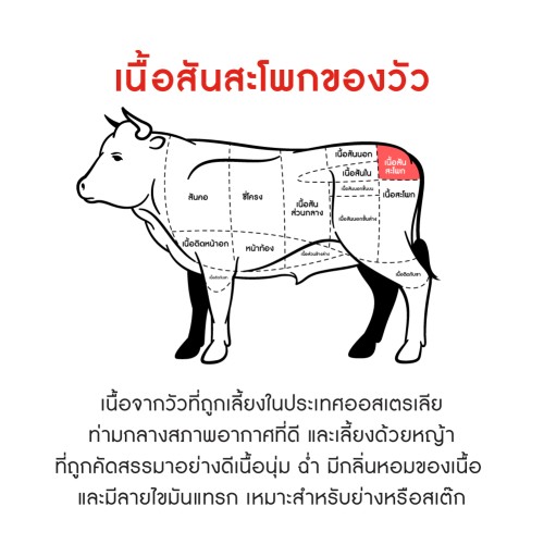 891838_TH_03.jpg