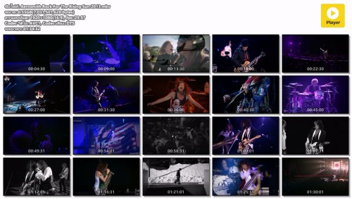 Aerosmith-Rock-For-The-Rising-Sun-2013.mkv.jpg