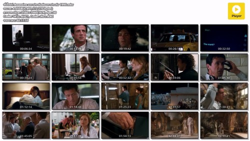 Assassins--1995.mkv.jpg