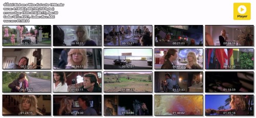 Bird-on-a-Wire--1990.mkv.jpg