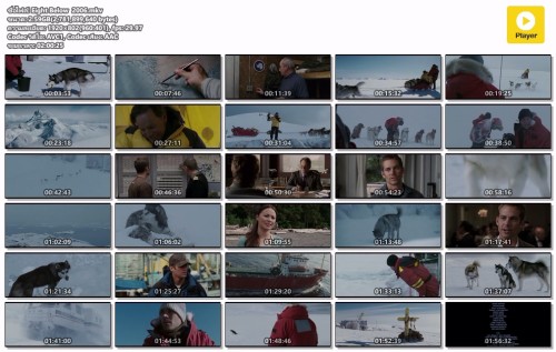 Eight-Below-2006.mkv.jpg