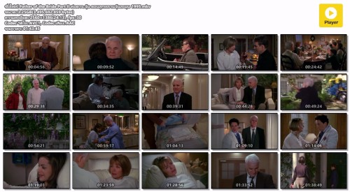 Father-of-the-Bride-Part-II-.--1995.mkv.jpg
