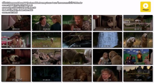 Homeward-Bound-1-The-Incredible-Journey-2--1---1993.mkv.jpg
