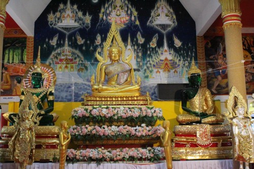 IMG_0349_resize.jpg