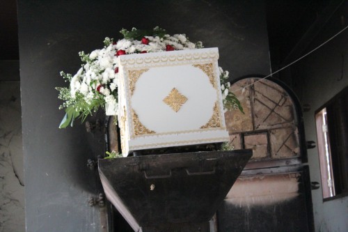 IMG_0660_resize.jpg