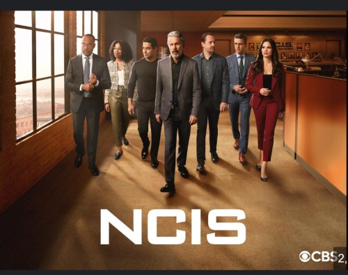 NCIS21.2.jpg
