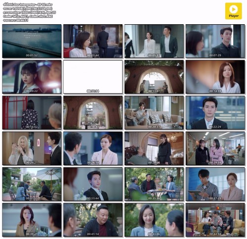 Our-Interpreter---EP-02.mkv.jpg
