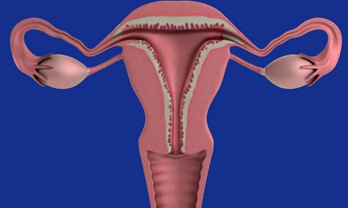 .ภาวะหมดประจำเดือนก่อนวัยอันควร (Premature Menopause).