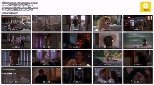 The-Hot-Spot--1990.mkv.jpg
