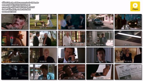 The-Specialist--1994.mkv.jpg