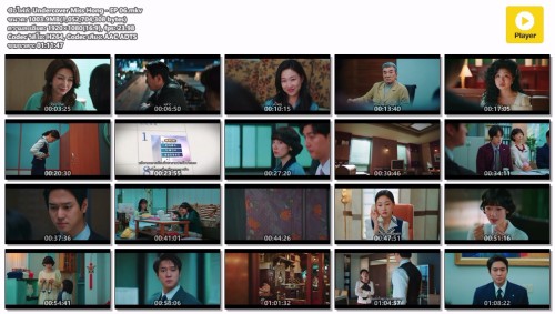 Undercover-Miss-Hong---EP-06.mkv.jpg