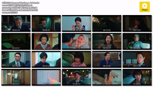Undercover-Miss-Hong---EP-09.mkv.jpg