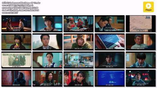 Undercover-Miss-Hong---EP-11.mkv.jpg