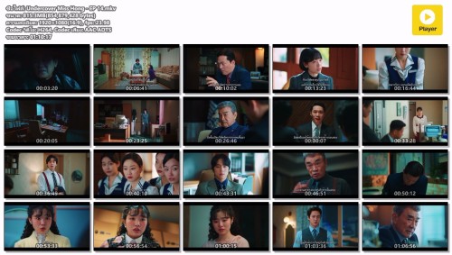 Undercover-Miss-Hong---EP-14.mkv.jpg