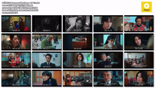 Undercover-Miss-Hong---EP-15.mkv.jpg